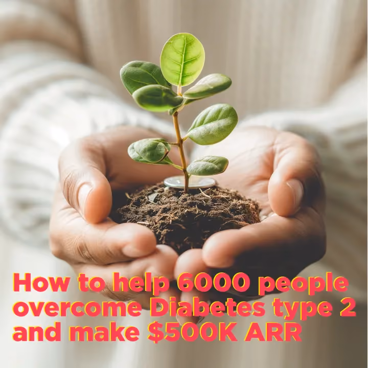 How to help people overcome Diabetes type 2 and make $500K ARR