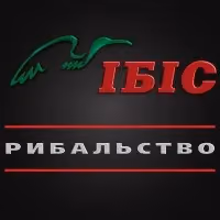 ІБІС