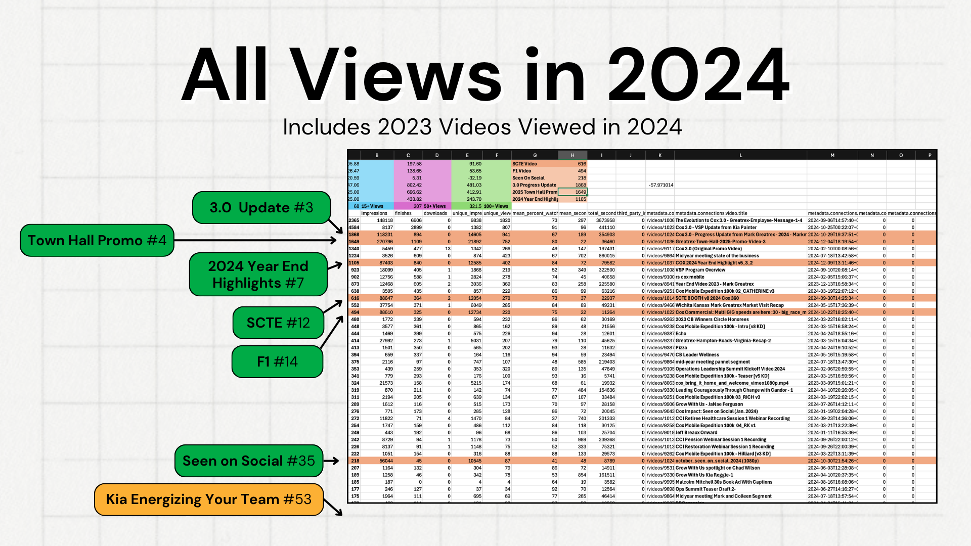 Data on all viewership of videos from 2024