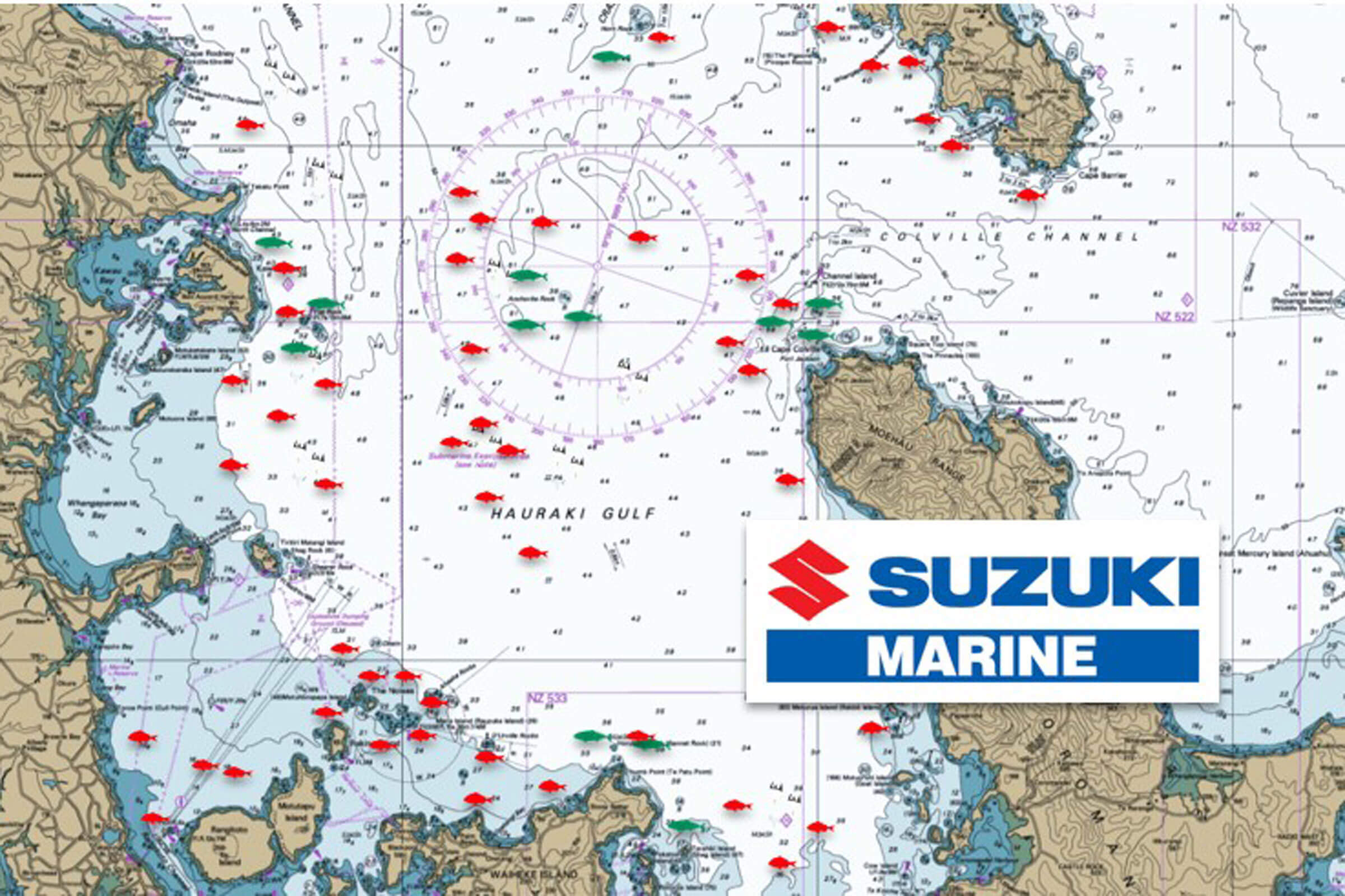 Rollercoaster rides of fortune have been the norm out fishing the Hauraki Gulf lately, from simply superb to scratching of heads – where’s the fish!?