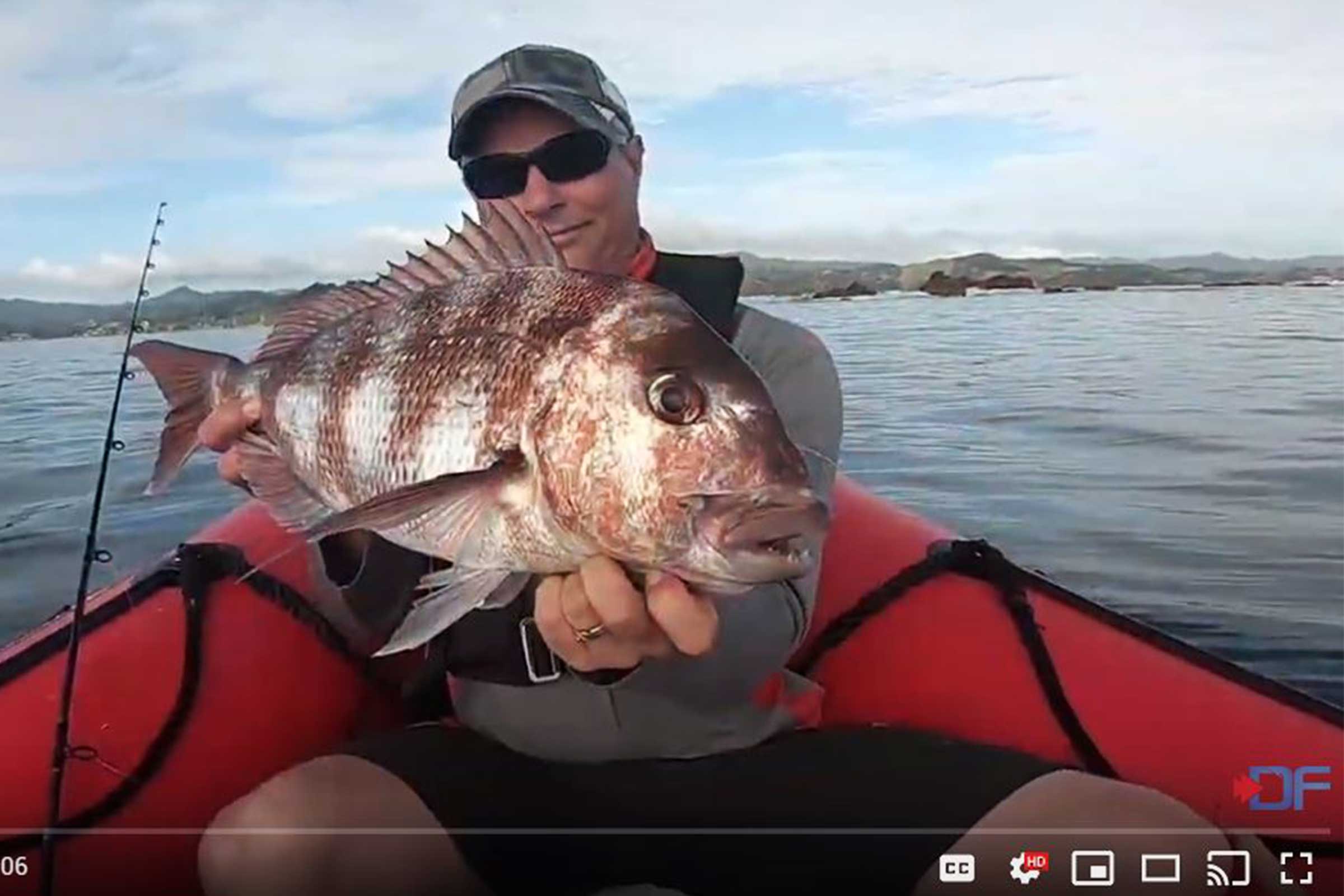 Check out the latest edition of Digital Fish with Scott Cushman on a crazy snapper bite.