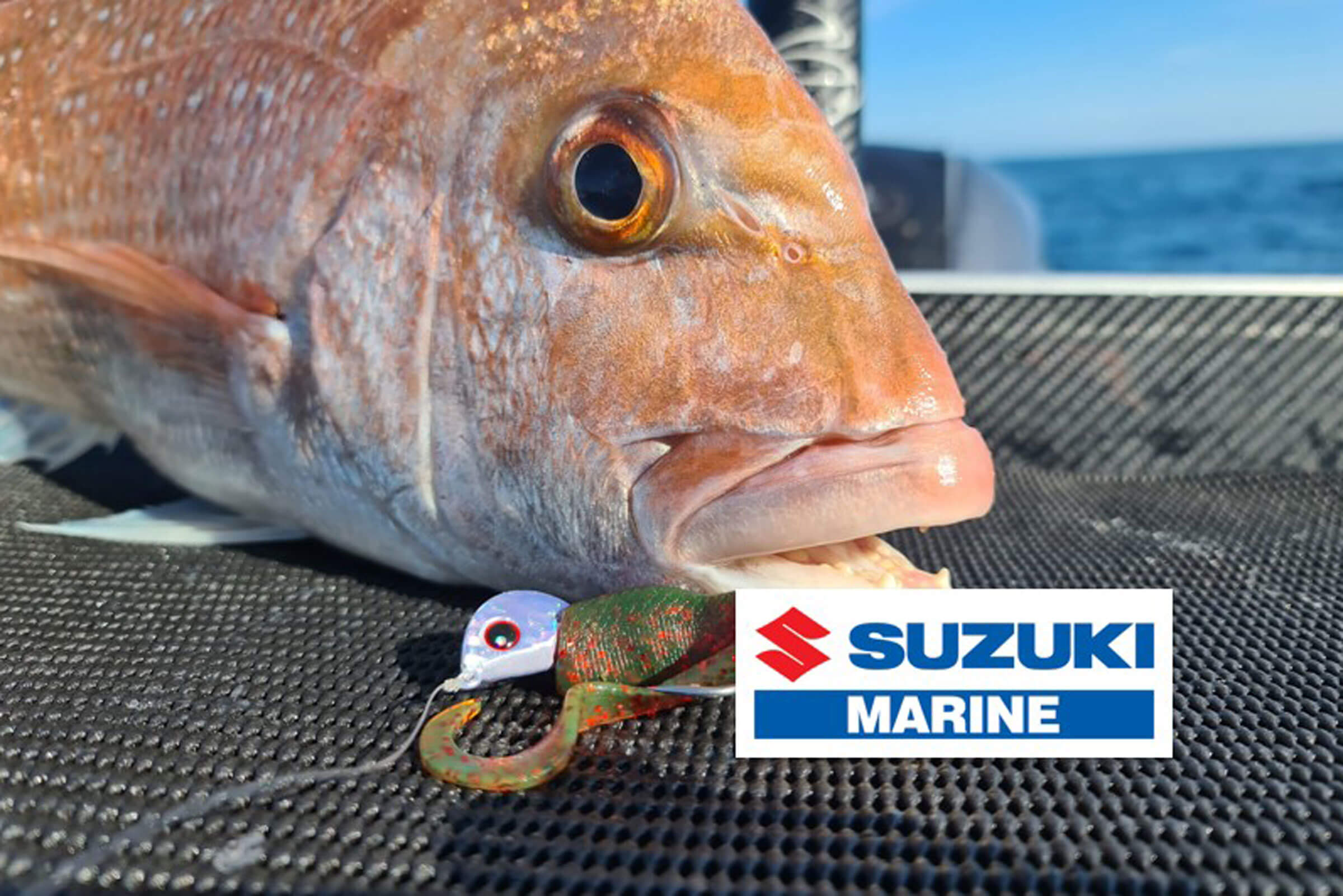 Better weather, better fishing, better be out there! What a great start to the season over Labour Weekend with hundreds of boats enjoying the Hauraki Gulf including the armada of yachts up and down the coast along with most of those that could - out and about getting into their fishing. Good activity and some excellent catches of snapper, kahawai, kingfish, John Dory, some gurnard too. A slowing down or tightening of the bite time could be on the cards as the full moon effect comes into force over the next few days. However there is good fishing to be had for sure. The overriding urge to feed is strong right now and there is plenty of bounty waiting.