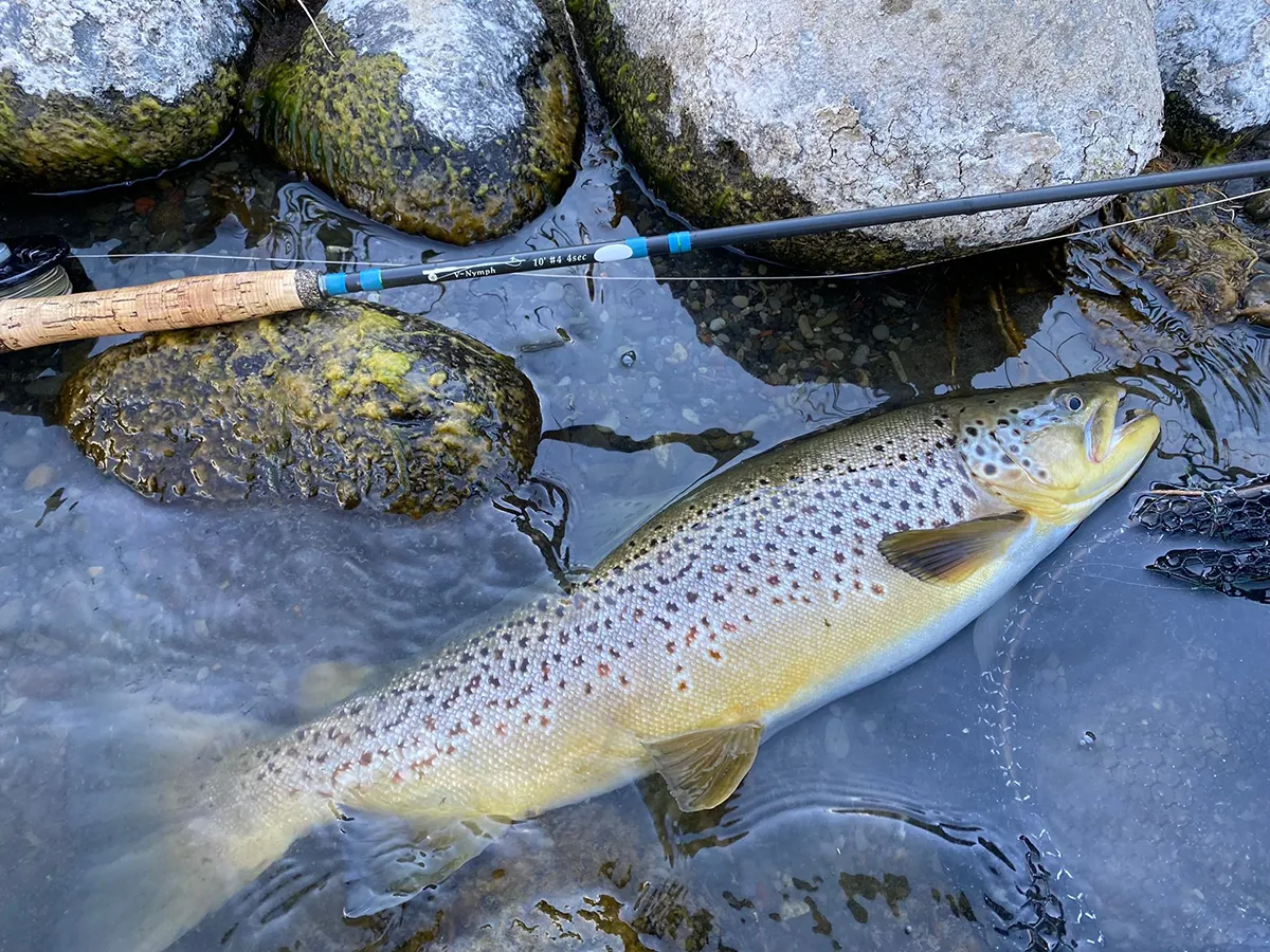 Turangi fishing reports from guide Brian Willson - dry fly season approaching on the Tongariro, plus an exclusive 15% discount promo code from I Love Fly Fishing
