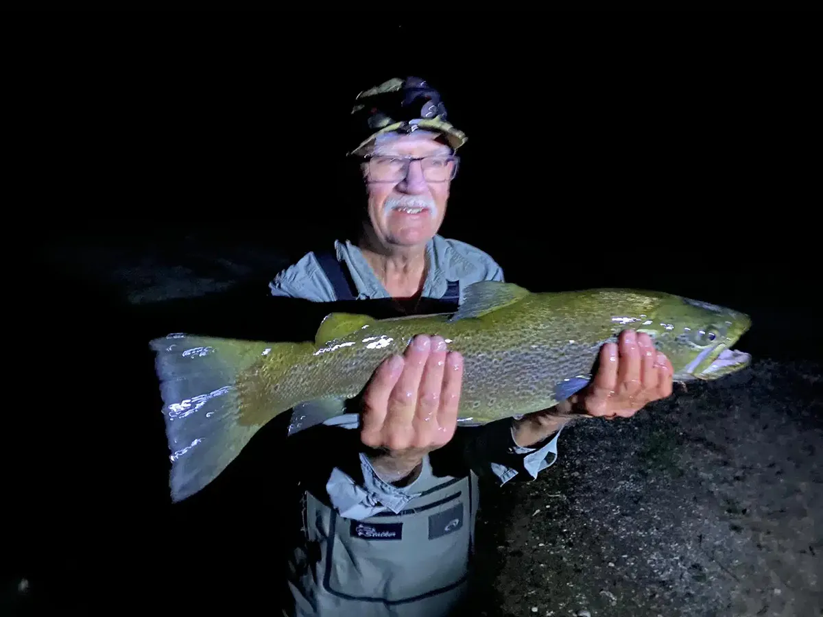 Browns are on the move. New moon window open until 24th March; wet nights are prime time. Tongariro Delta holding fresh fish, Tauranga Taupo ready to fire. Brian's fly pick and promo-code