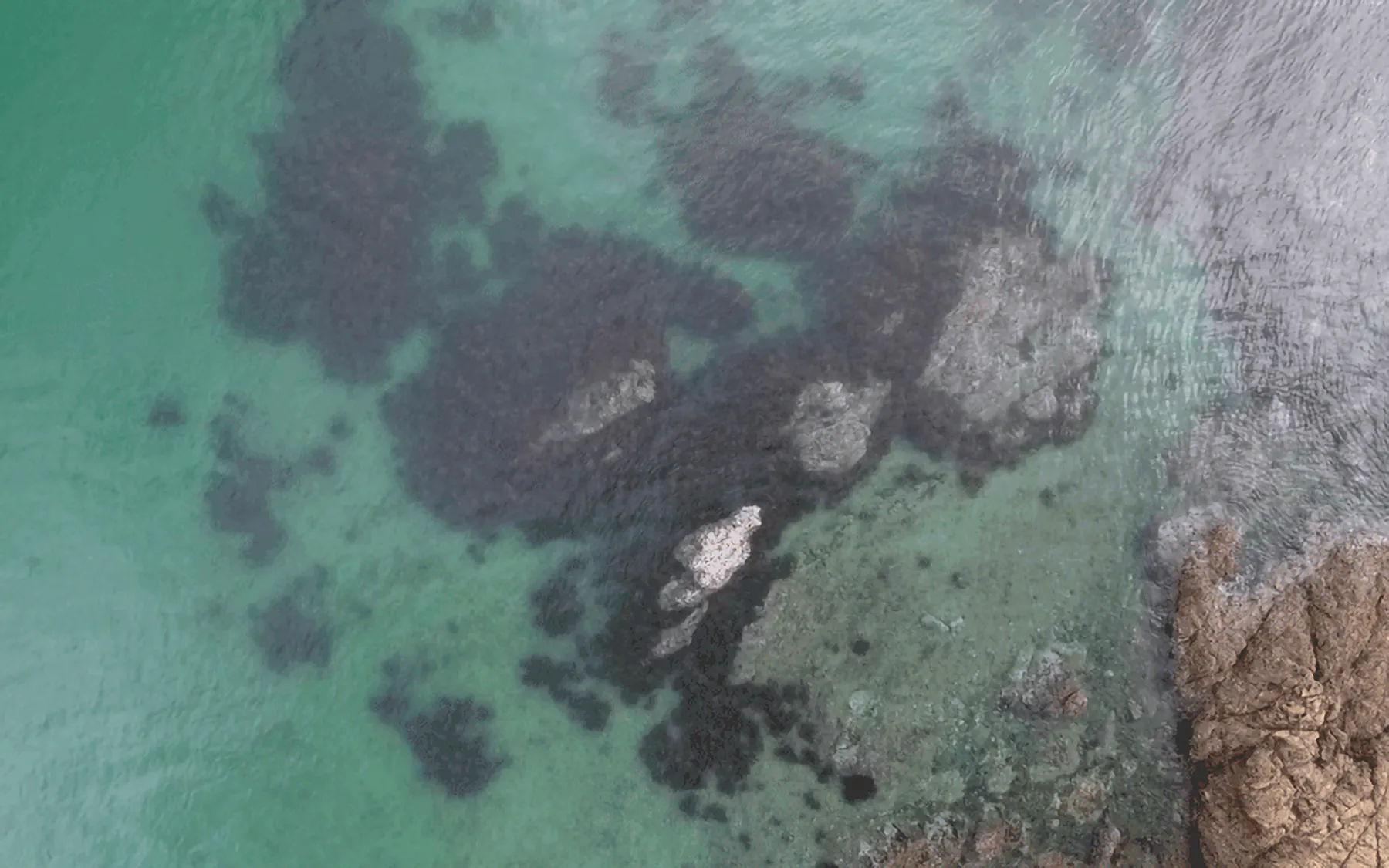 This aerial view shows a perfect spot to try for squid around the weed edges and channels