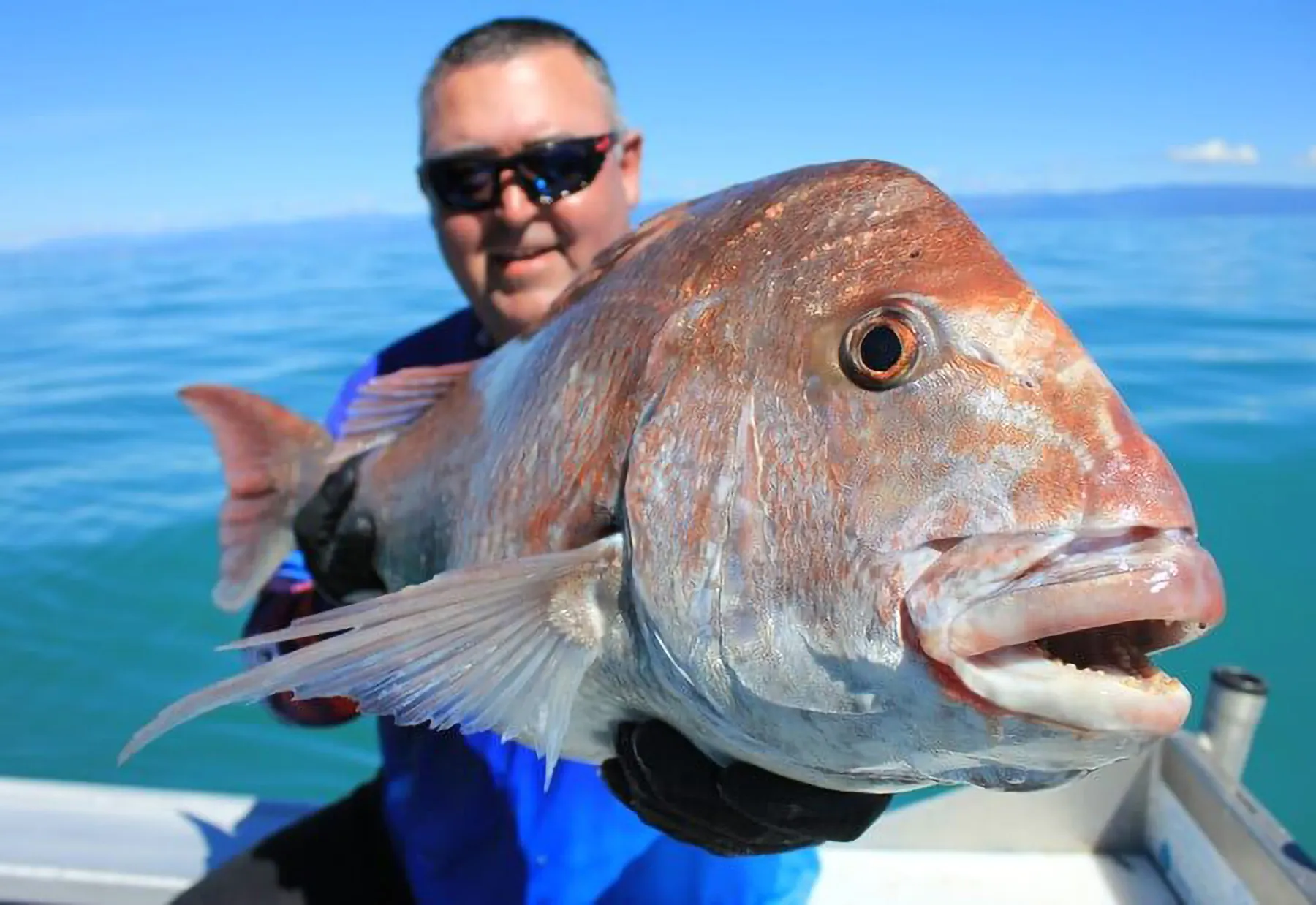 Tasman Bay top spots