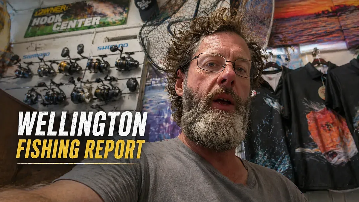 Pete Lamb's Wellington fishing report: Surf casting kingfish and snapper at Palliser Bay and Castle Point, mixed bags inshore but good boat fishing, and a solid 10-day forecast.