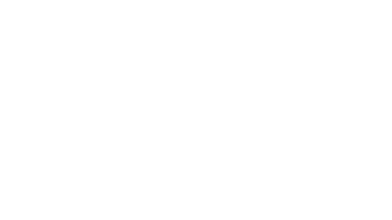 Flight