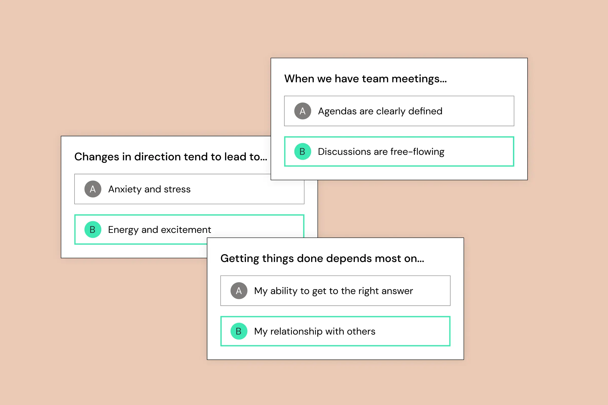Graphical depiction of the TeamDynamics survey you submit as a user.