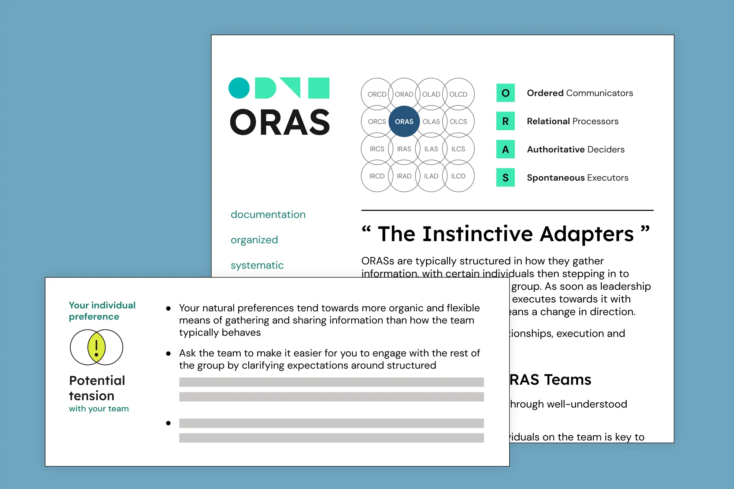 Graphical depiction of the TeamDynamics report you receive as a user.