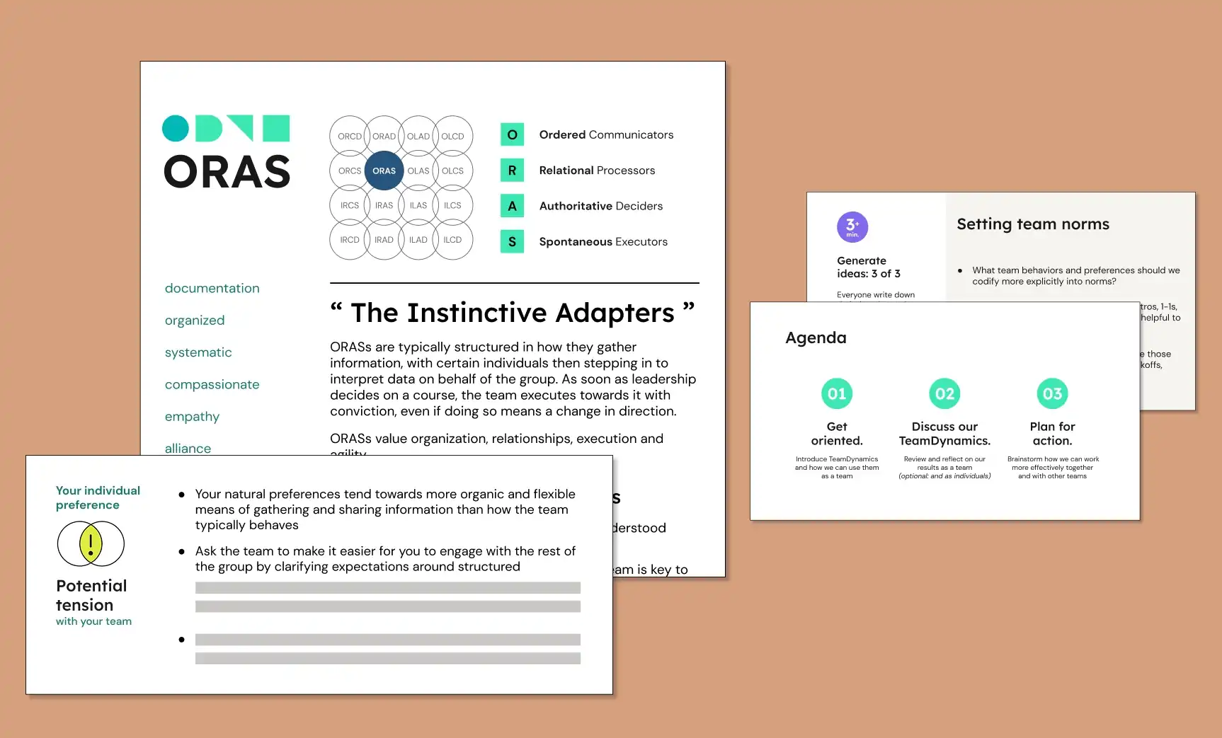 TeamDynamics Team Personality Test Sample
