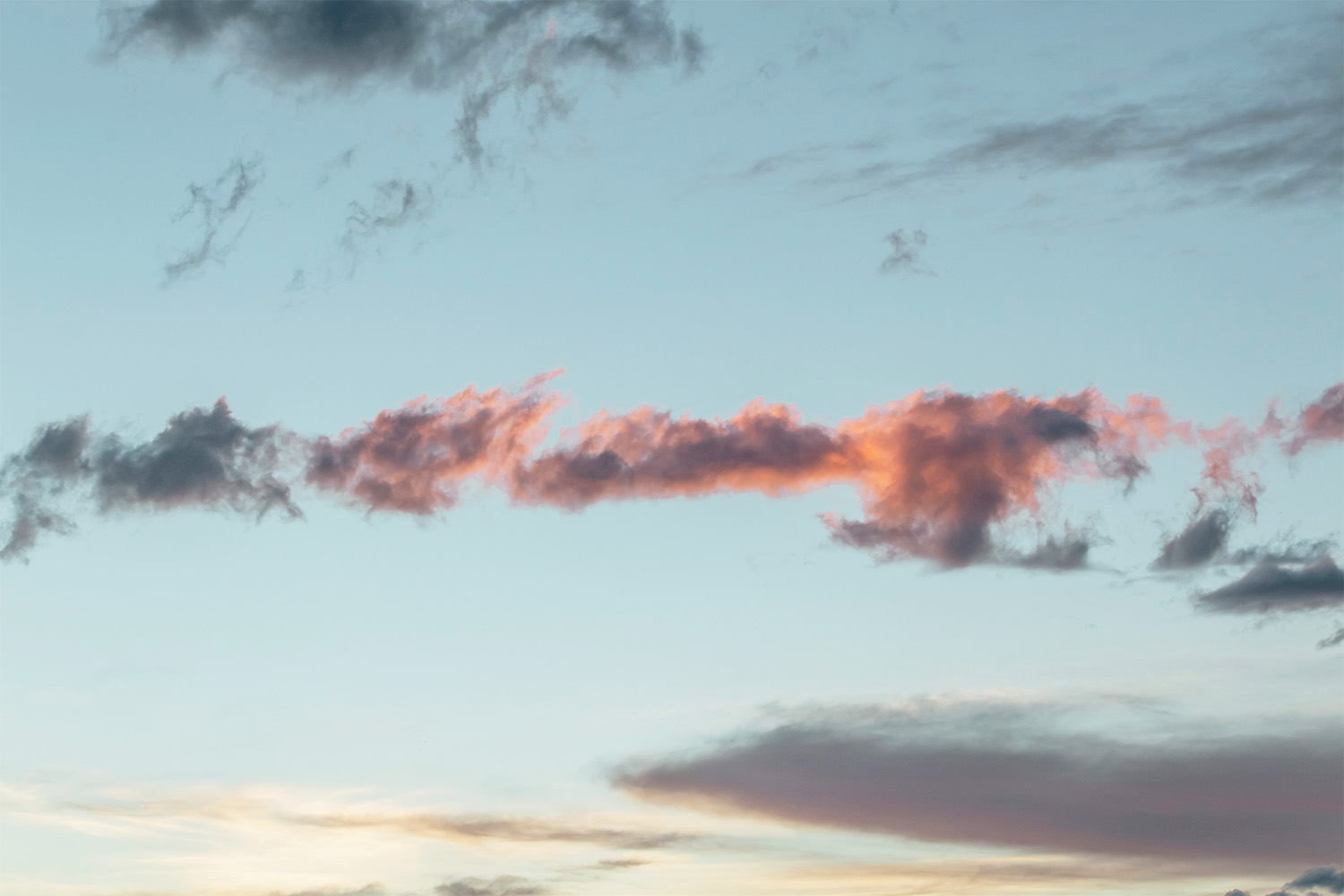 dacoparo · blue sky