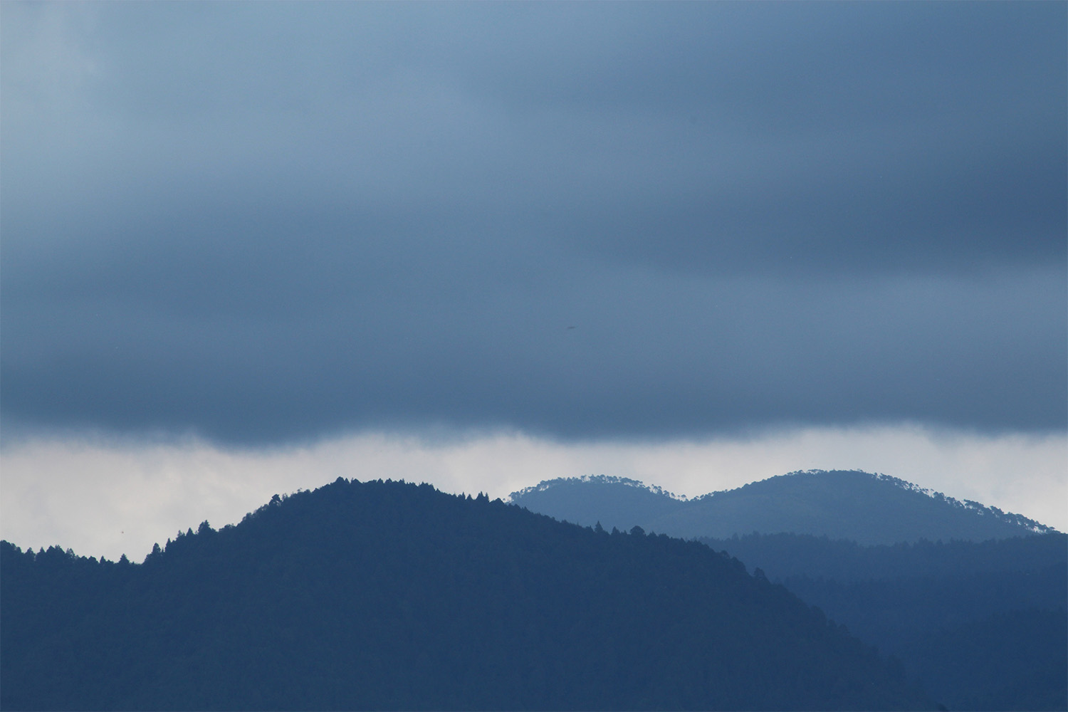 dacoparo · blue sky