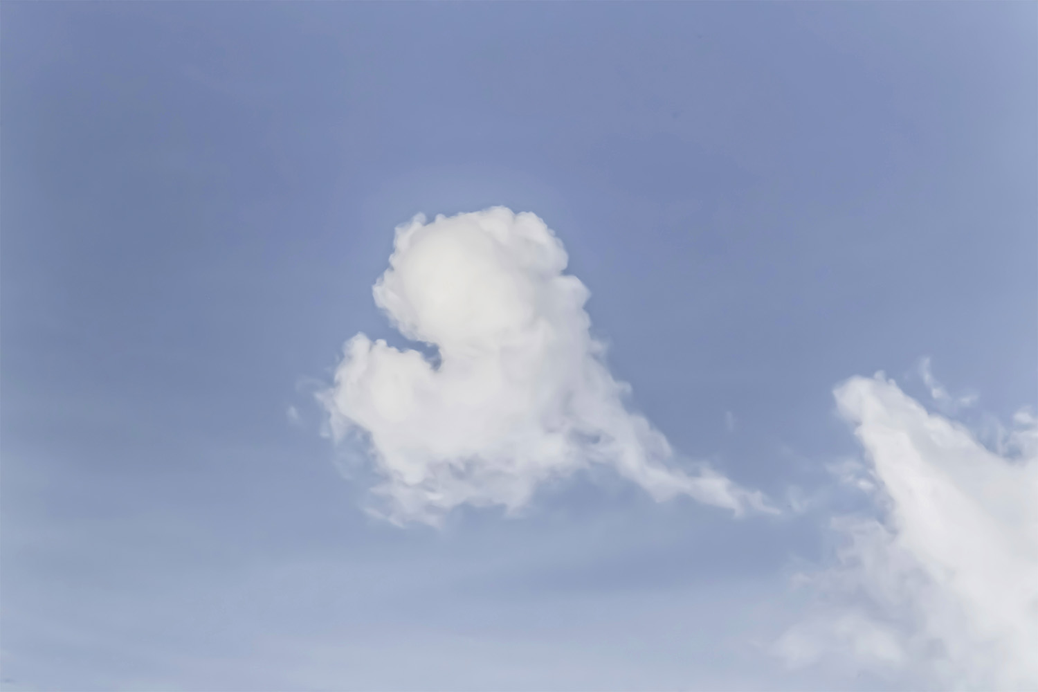 dacoparo · blue sky