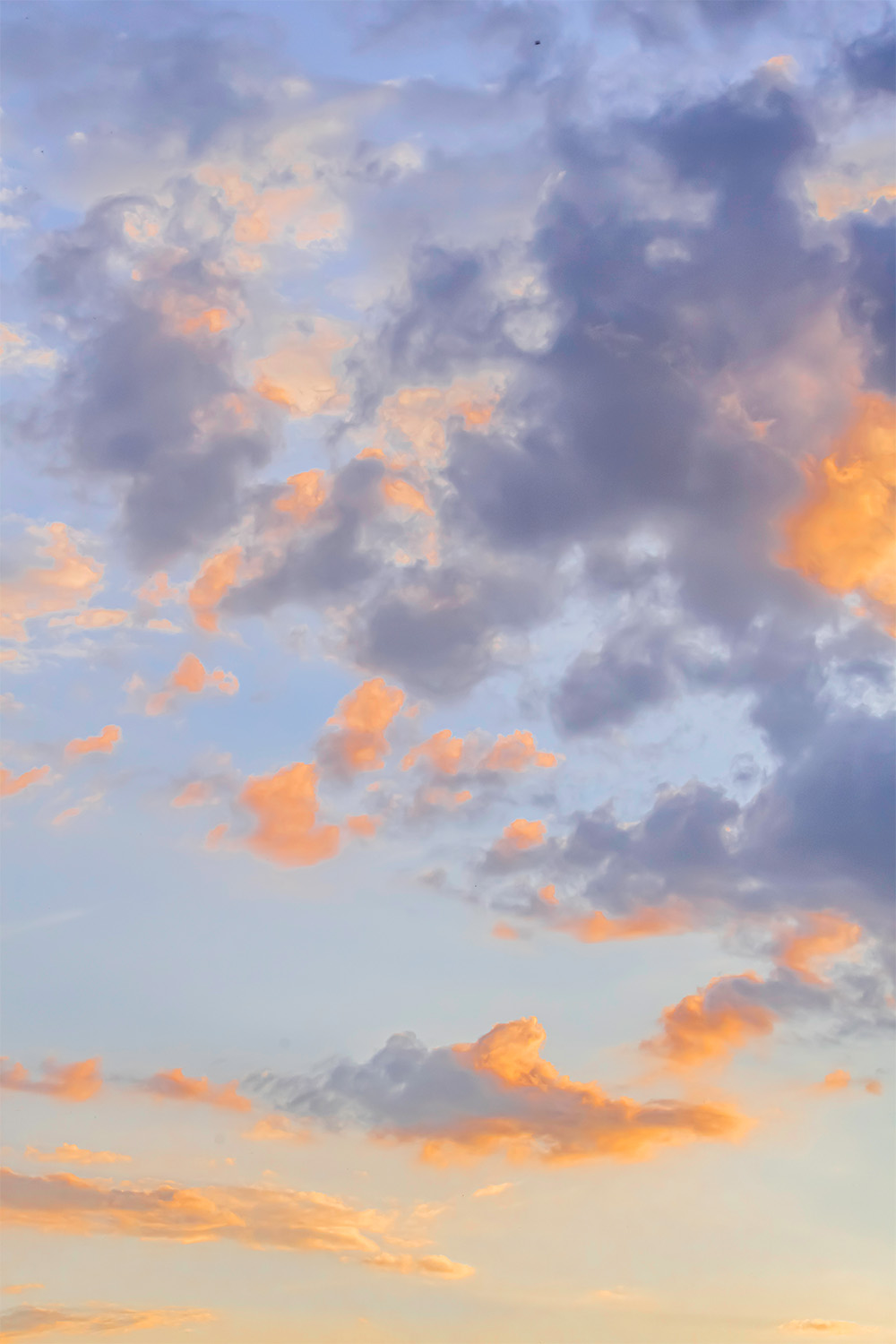 dacoparo · blue sky