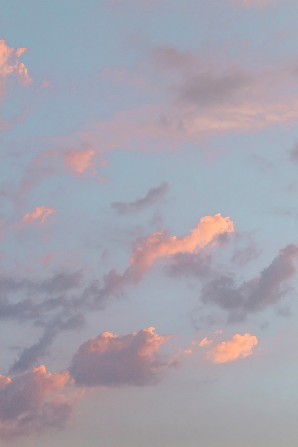 dacoparo · blue sky