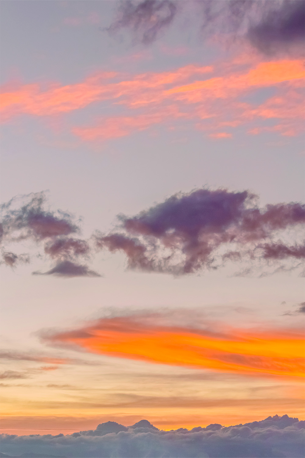 dacoparo · blue sky