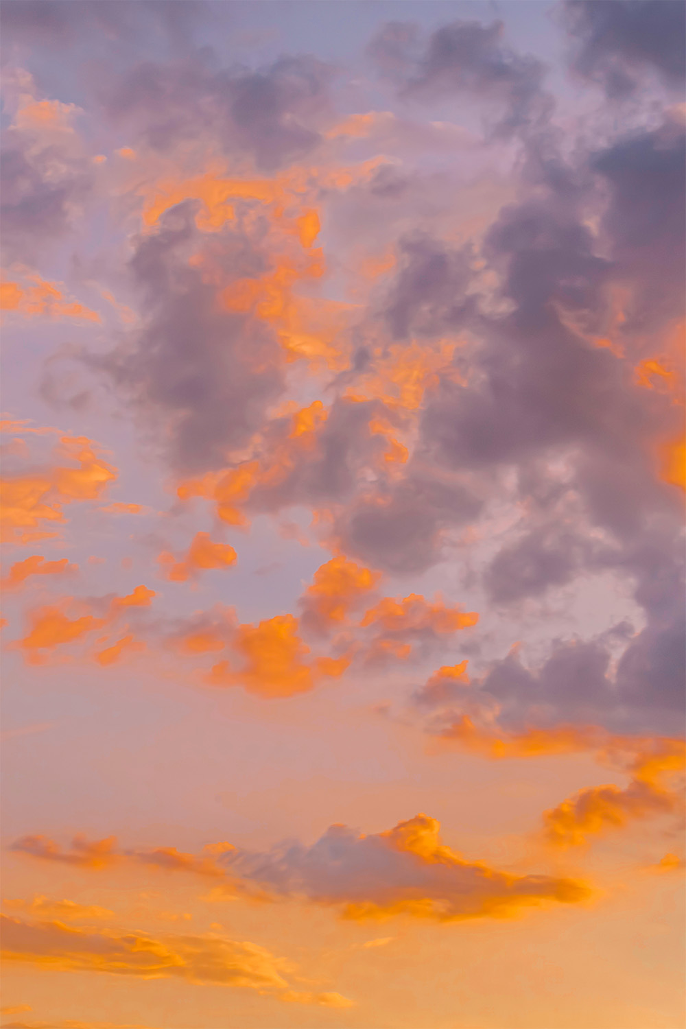 dacoparo · blue sky