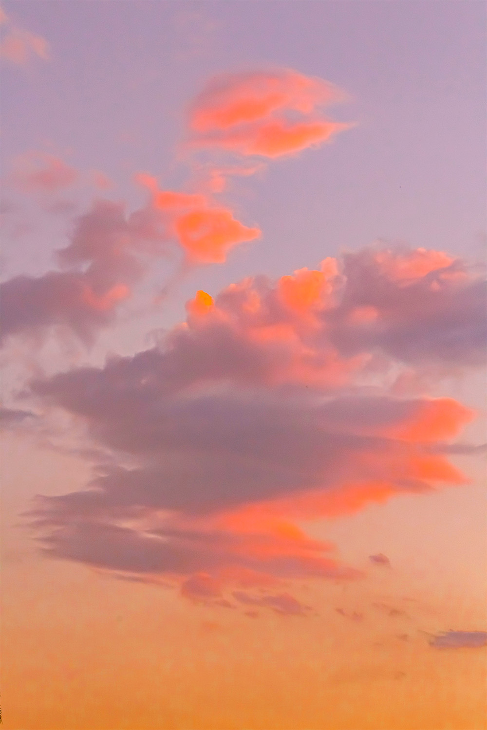 dacoparo · blue sky