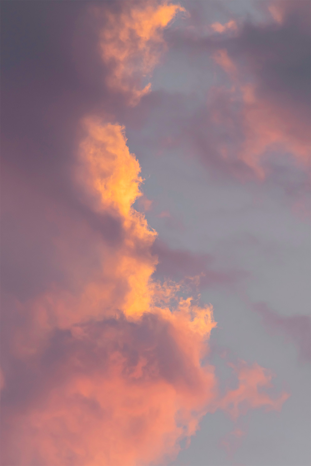 dacoparo · blue sky