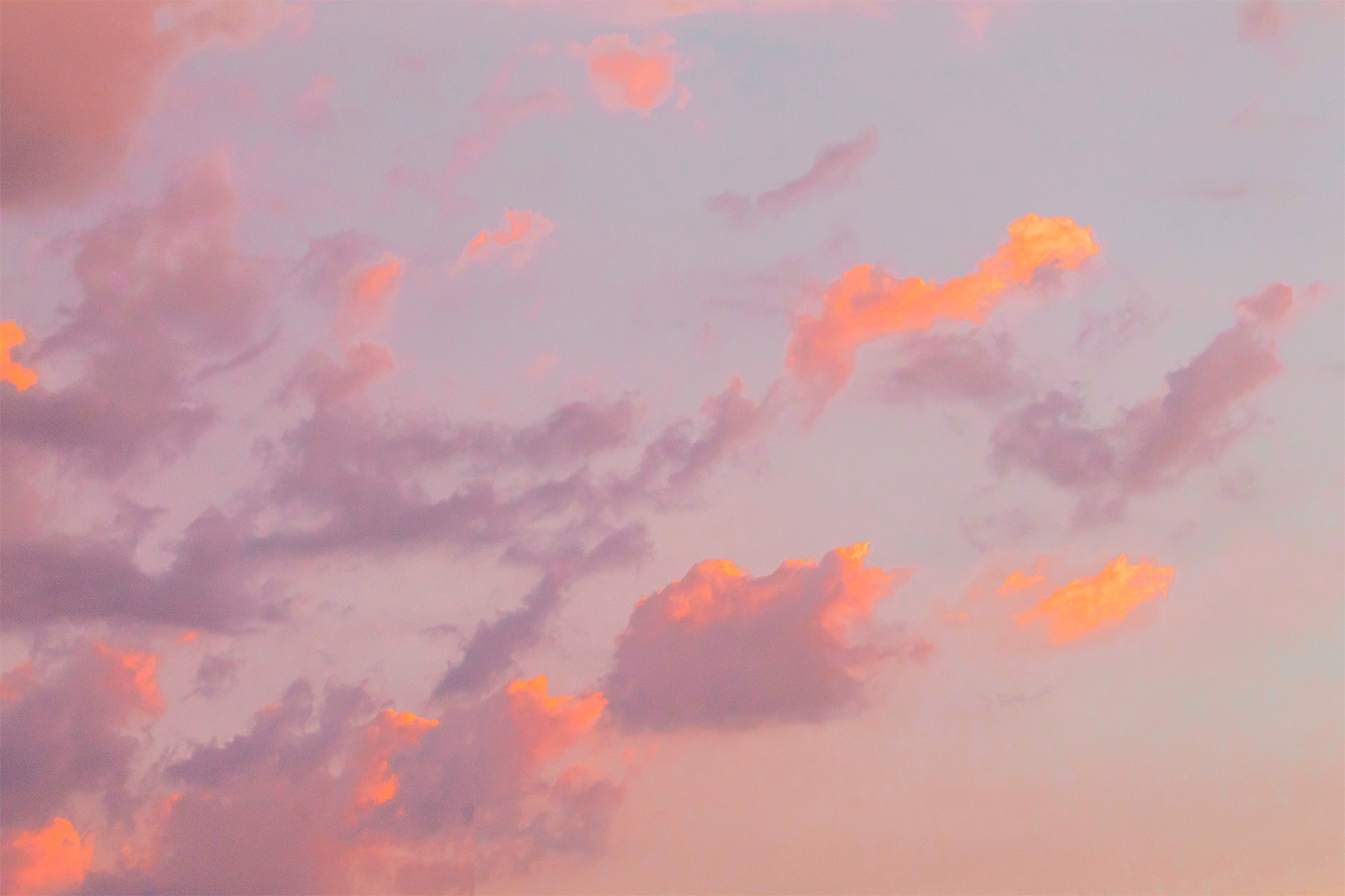 dacoparo · blue sky