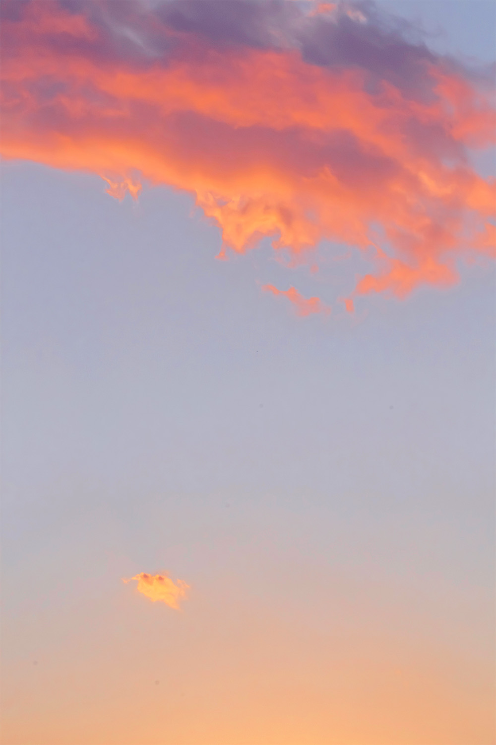 dacoparo · blue sky