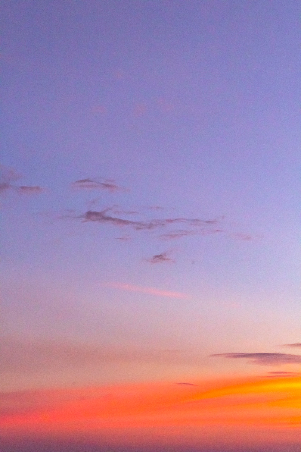 dacoparo · blue sky