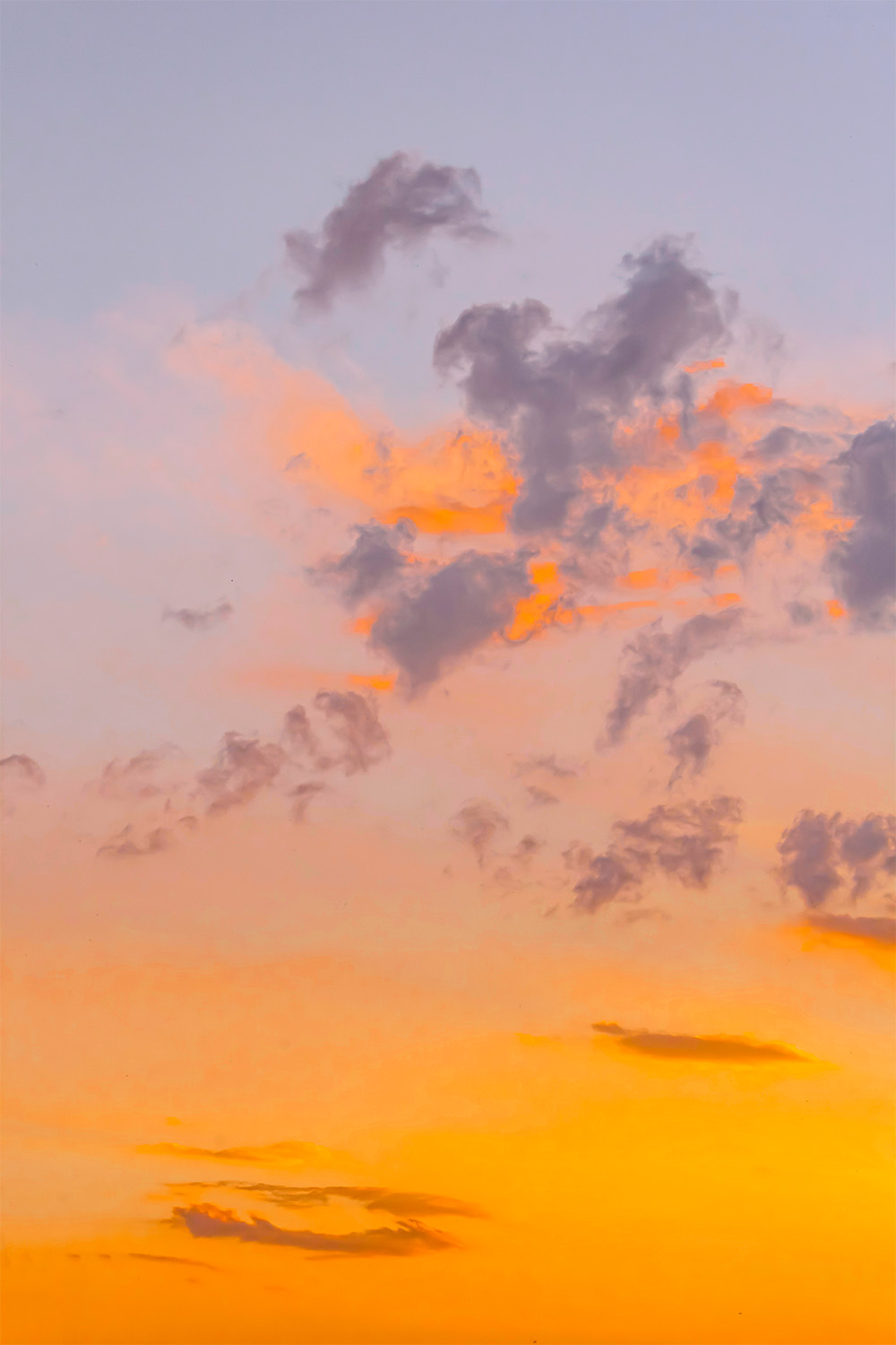 dacoparo · blue sky