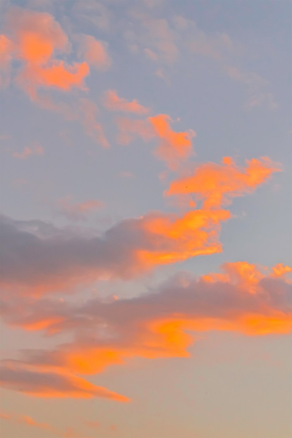 dacoparo · blue sky