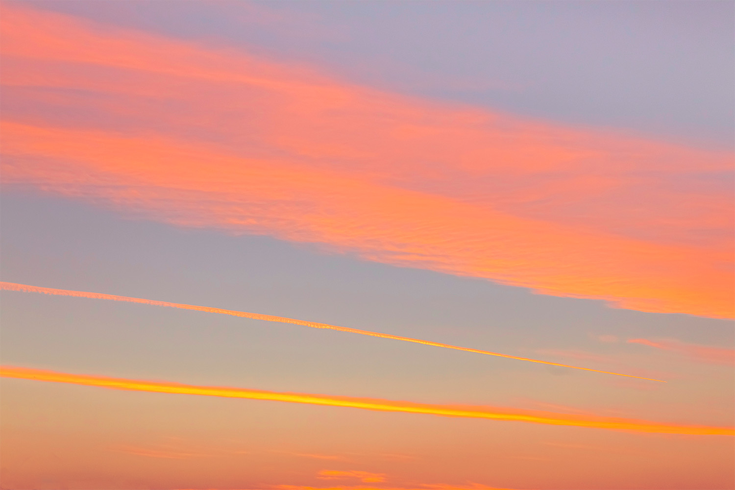dacoparo · blue sky