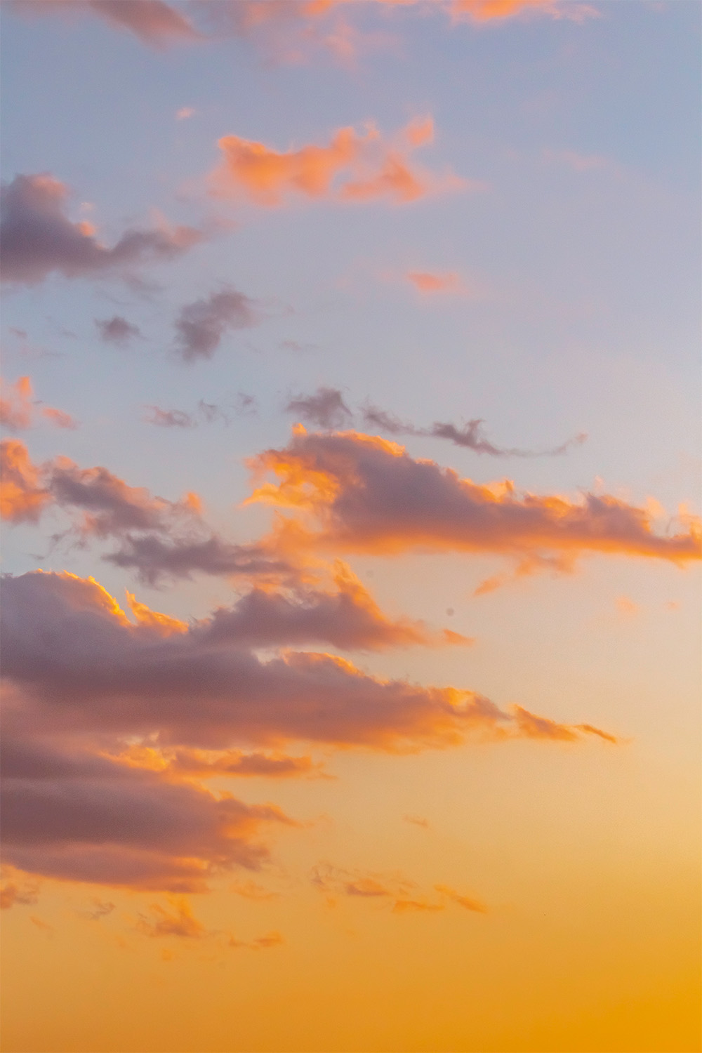 dacoparo · blue sky