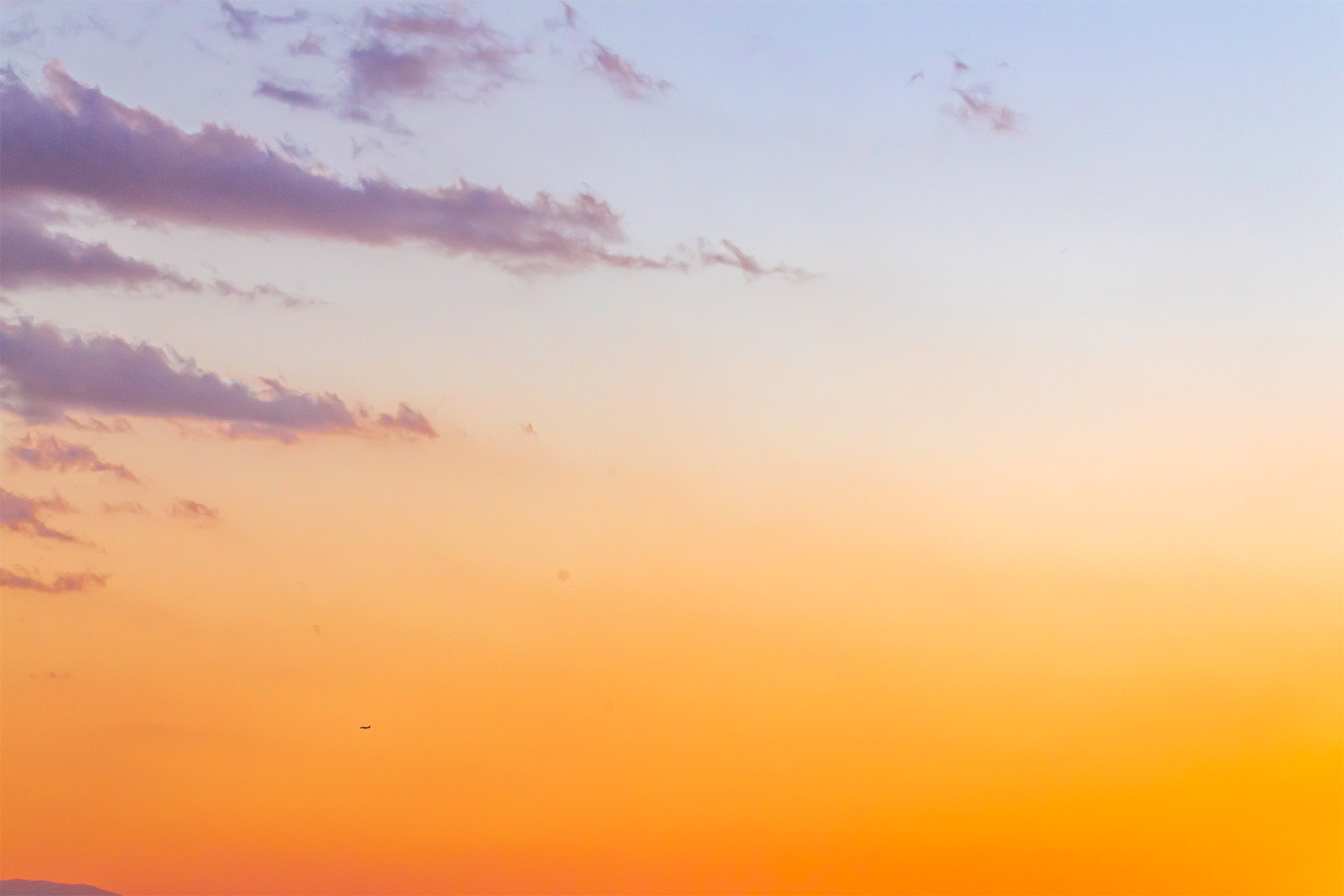 dacoparo · blue sky