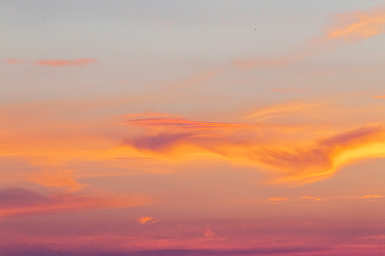 dacoparo · blue sky