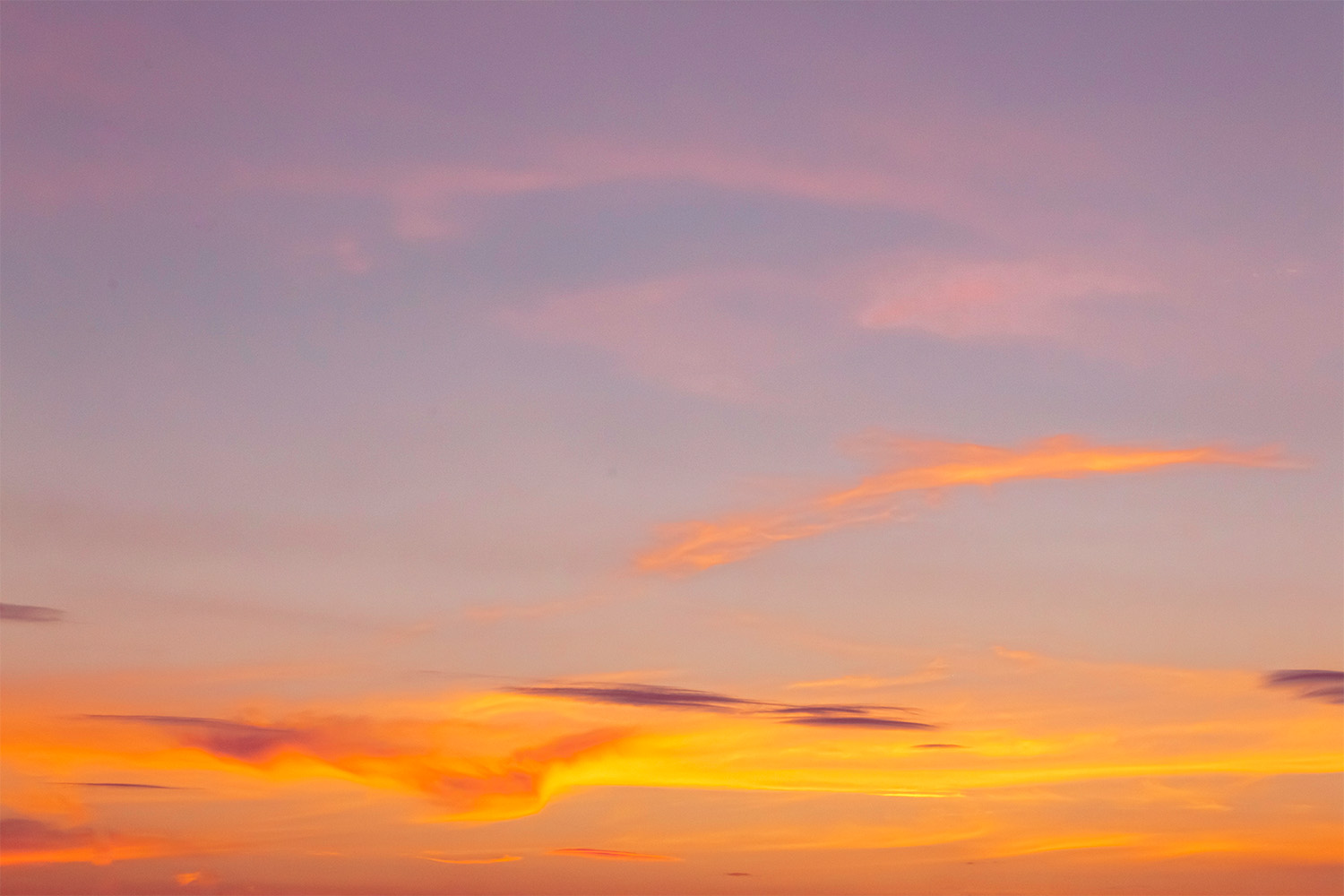 dacoparo · blue sky