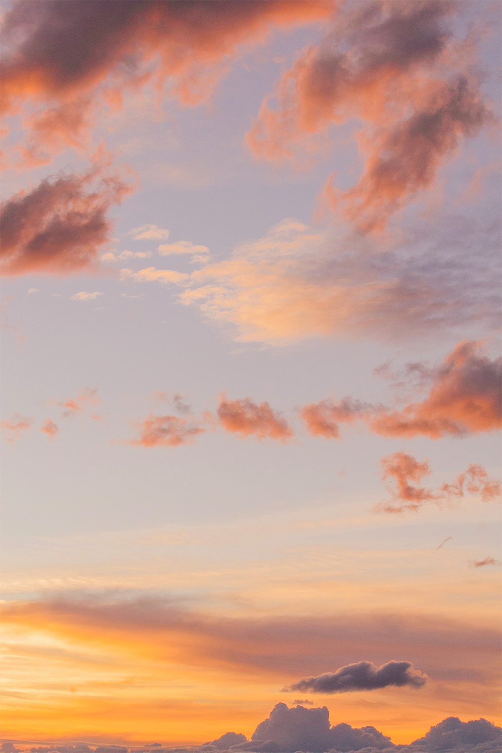 dacoparo · blue sky