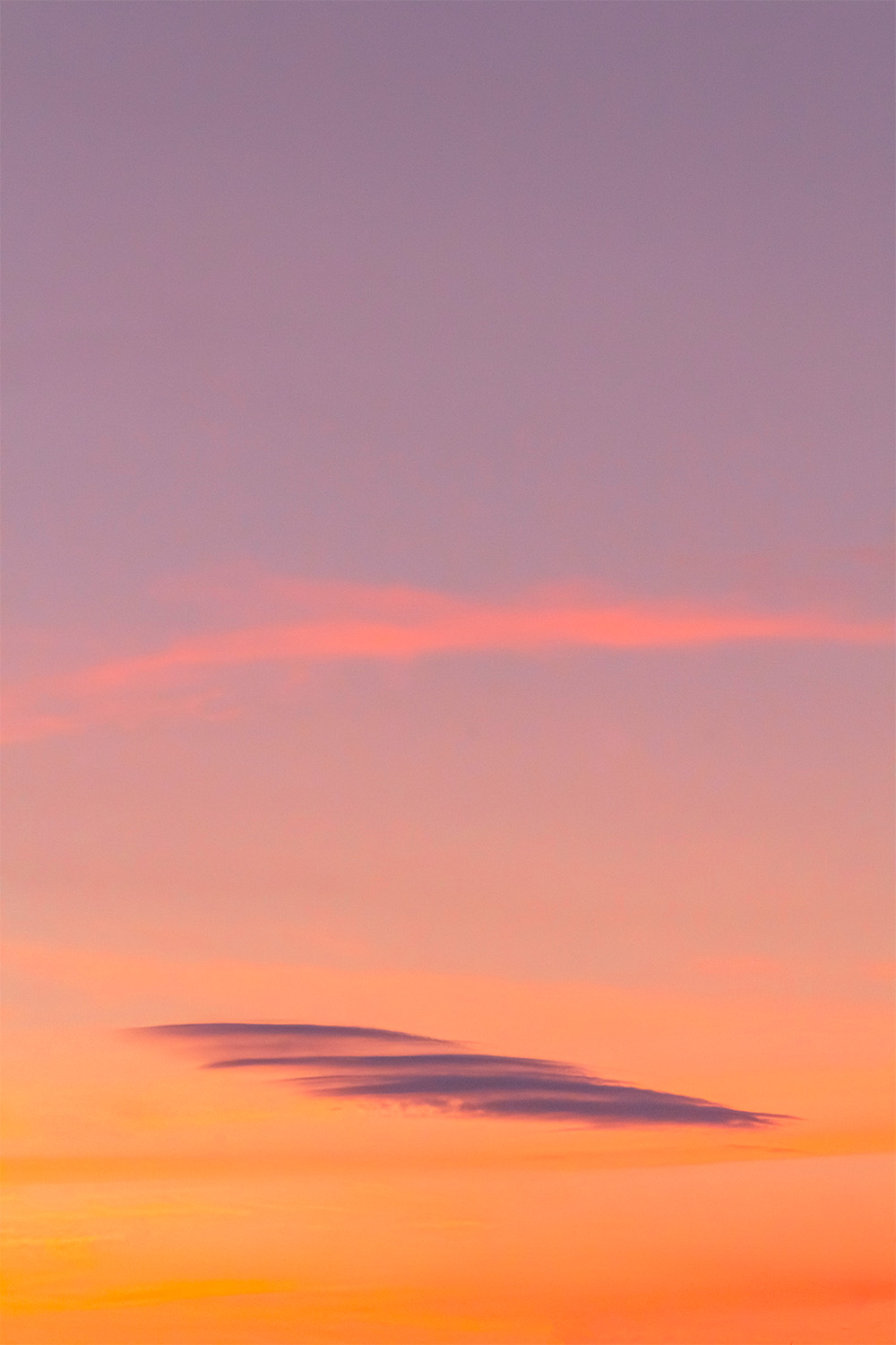 dacoparo · blue sky