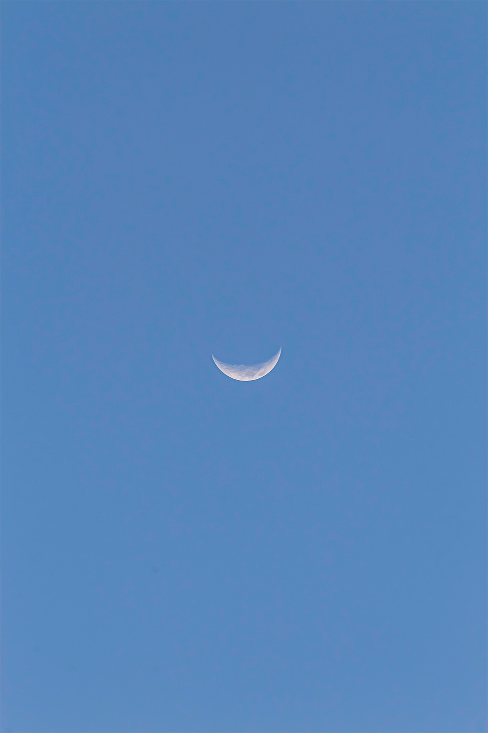 dacoparo · blue sky