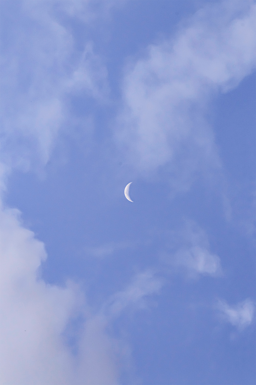 dacoparo · blue sky