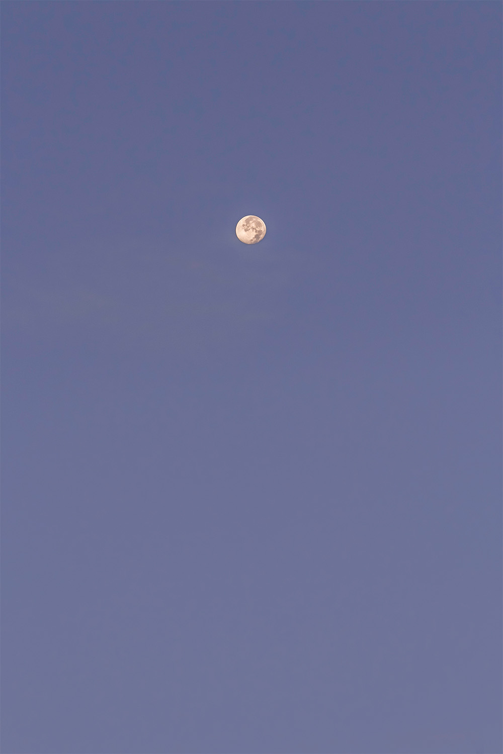 dacoparo · blue sky