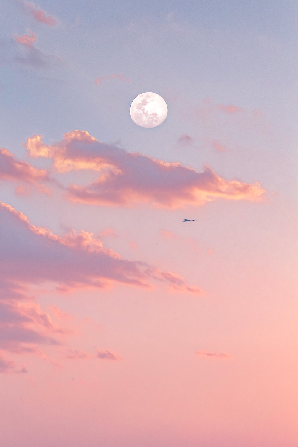 dacoparo · blue sky