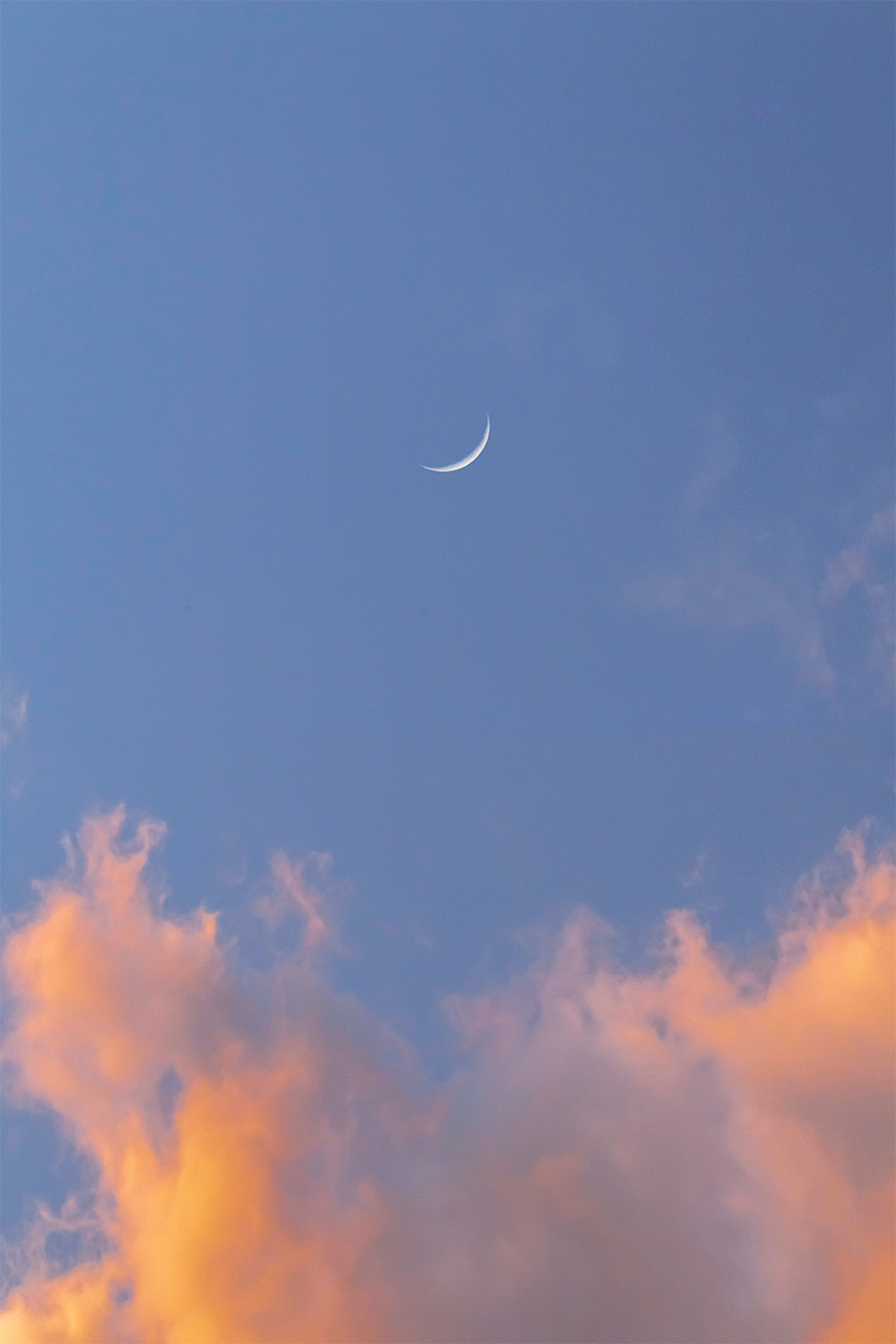 dacoparo · blue sky