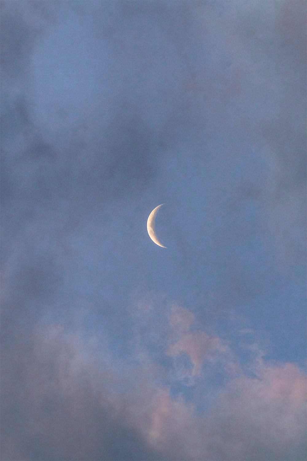 dacoparo · blue sky