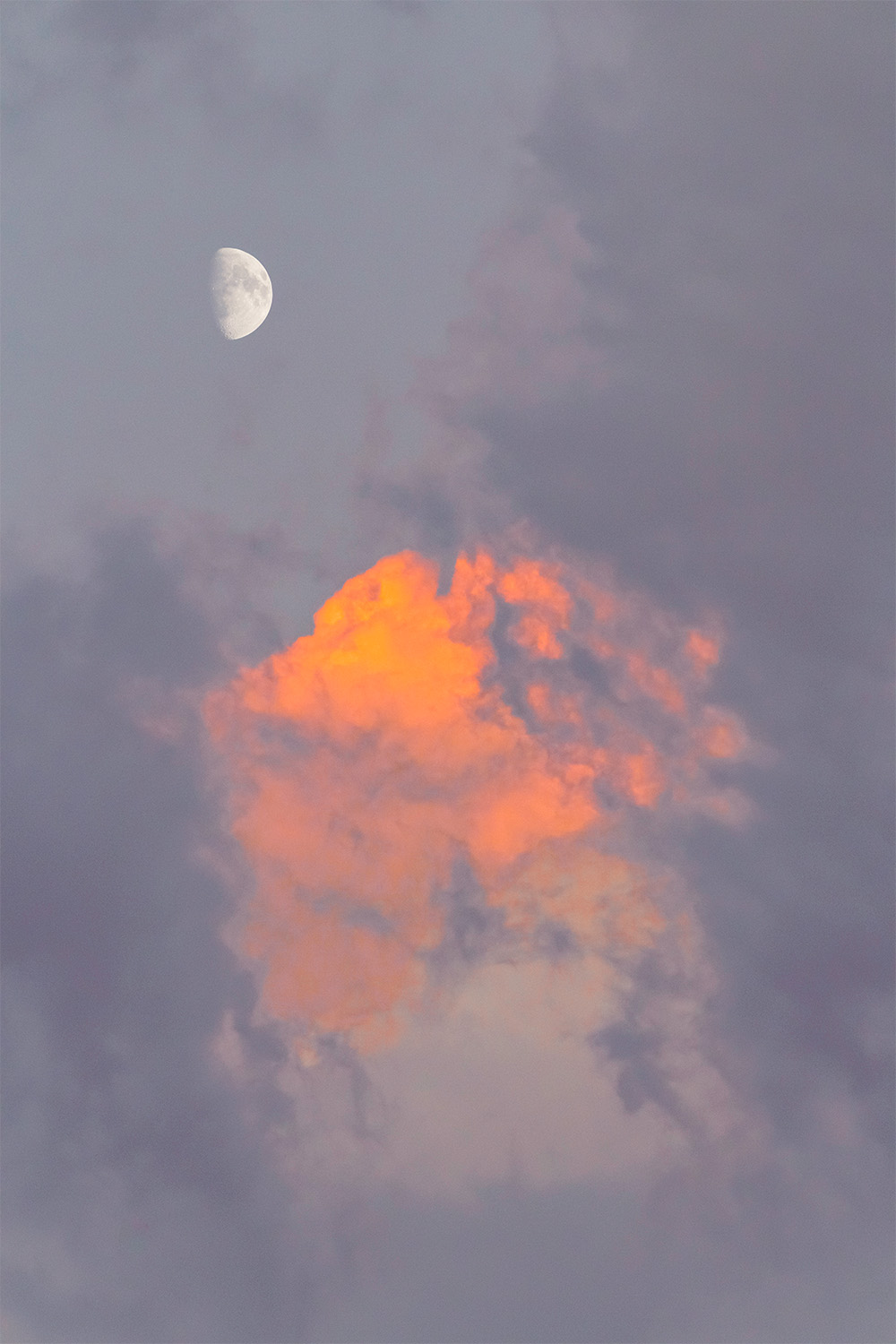 dacoparo · blue sky
