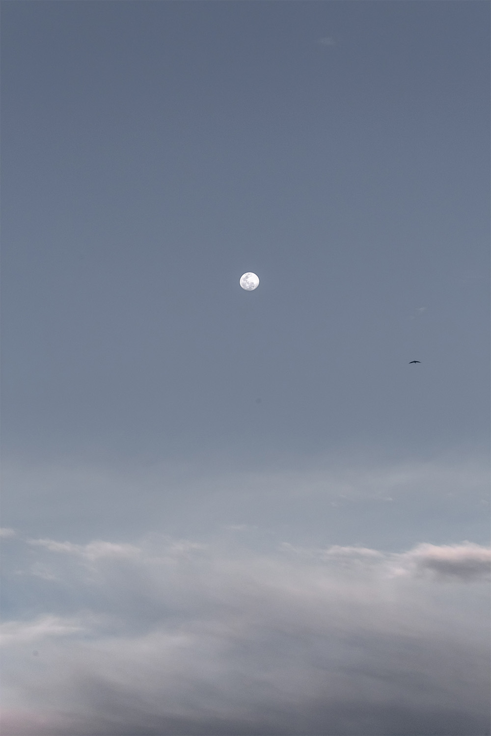 dacoparo · blue sky