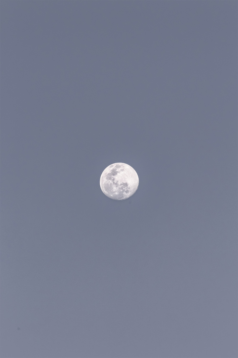 dacoparo · blue sky