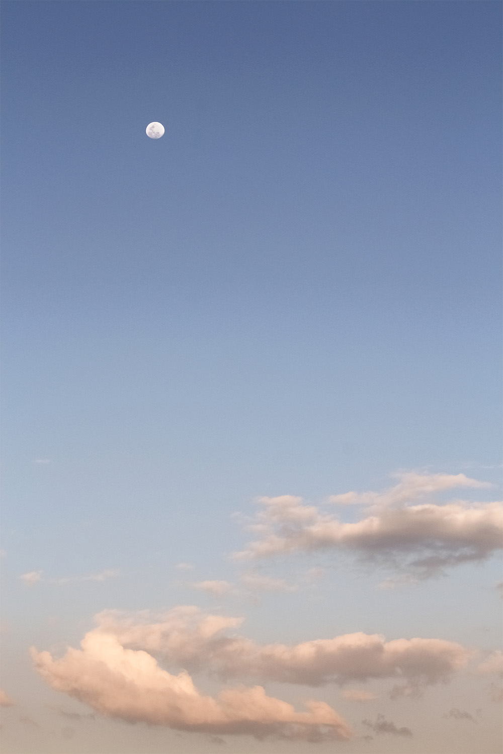 dacoparo · blue sky