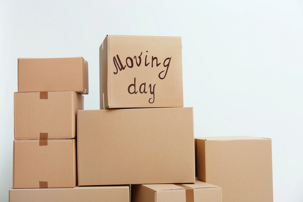 What Removalists Wish Homeowners Knew Before Moving Day