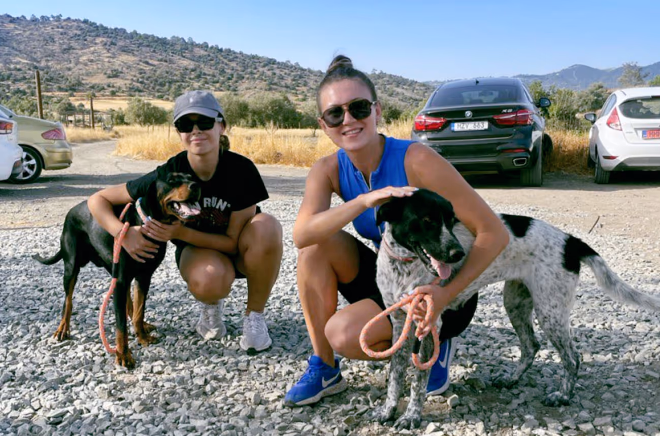 BrainRocket provides Support to Dog Shelter