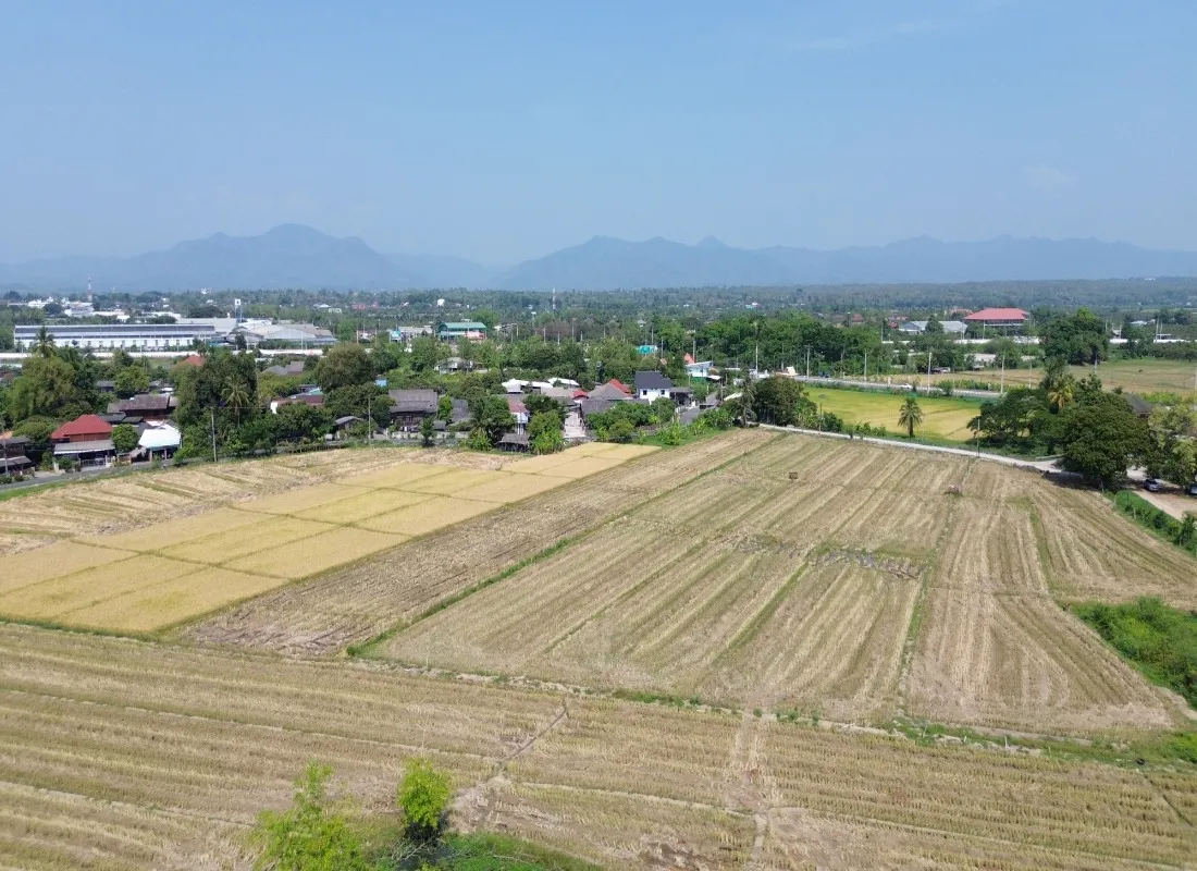 146 Rai Investment Land | Hang Dong/San Pa Tong, Chiang Mai 