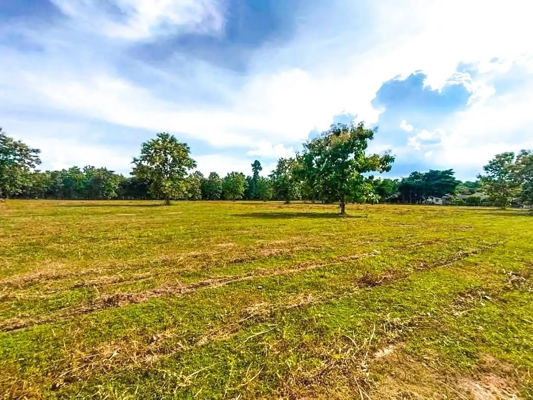 19+ Rai Chanote Land Plot - Premium Doi Saket Location